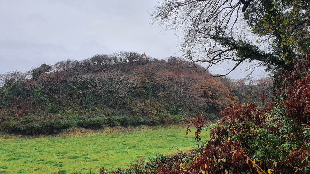 The 'tongue' reaching up into the valley floor was reclaimed in the last century.I imagine it was once a beautiful braided forest river bed.Still a lovely little river.Further up the valley another patch was reclaimed.