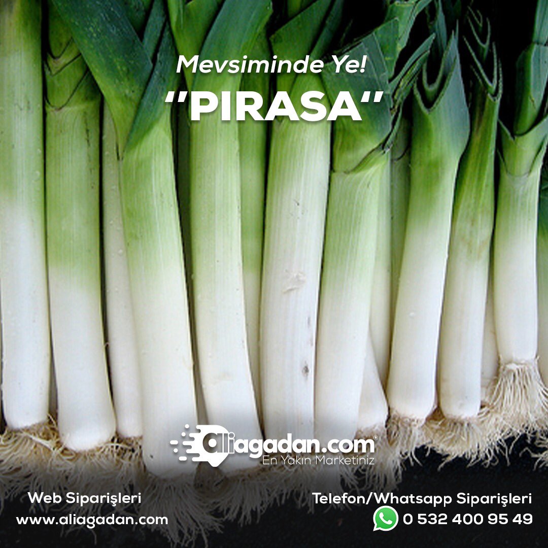 🍃Roma Dönemi’nin Günümüze Hediyesi, Manav Reyonunda Seni Bekliyor!
.
🌱Taze Soğan’a benzerliğiyle ünlü, kış sofralarının sağlık dağıtanı!
.
🌱Pırasayı mevsiminde ye!
👉🏻 aliagadan.com 👈🏻
.
#EnYakınMarketiniz