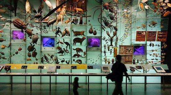 GARREAU75's tweet photo. VIDEO. Comment la #taxonomie ambitionne de #recenser plus de 8 millions d’#espèces encore #inconnues #biodiversité via @Zehub https://t.co/WbRkVqLVzy https://t.co/0RQRaCrfCX