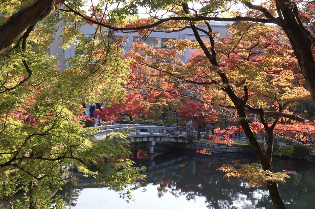 luckyoukyoto's tweet photo. 本日の永観堂と南禅寺。週末はグラデーションの紅葉が楽しめそうです。どこも検温、消毒、マスク着用。永観堂は橋の上が通行禁止で、状況によって夜間ライトアップは入場制限を行うそうです　#京都 #紅葉 #南禅寺 #永観堂 #kyoto #redleave #nanzenji #eikando #socialdistance https://t.co/5Qm3IKiJTQ