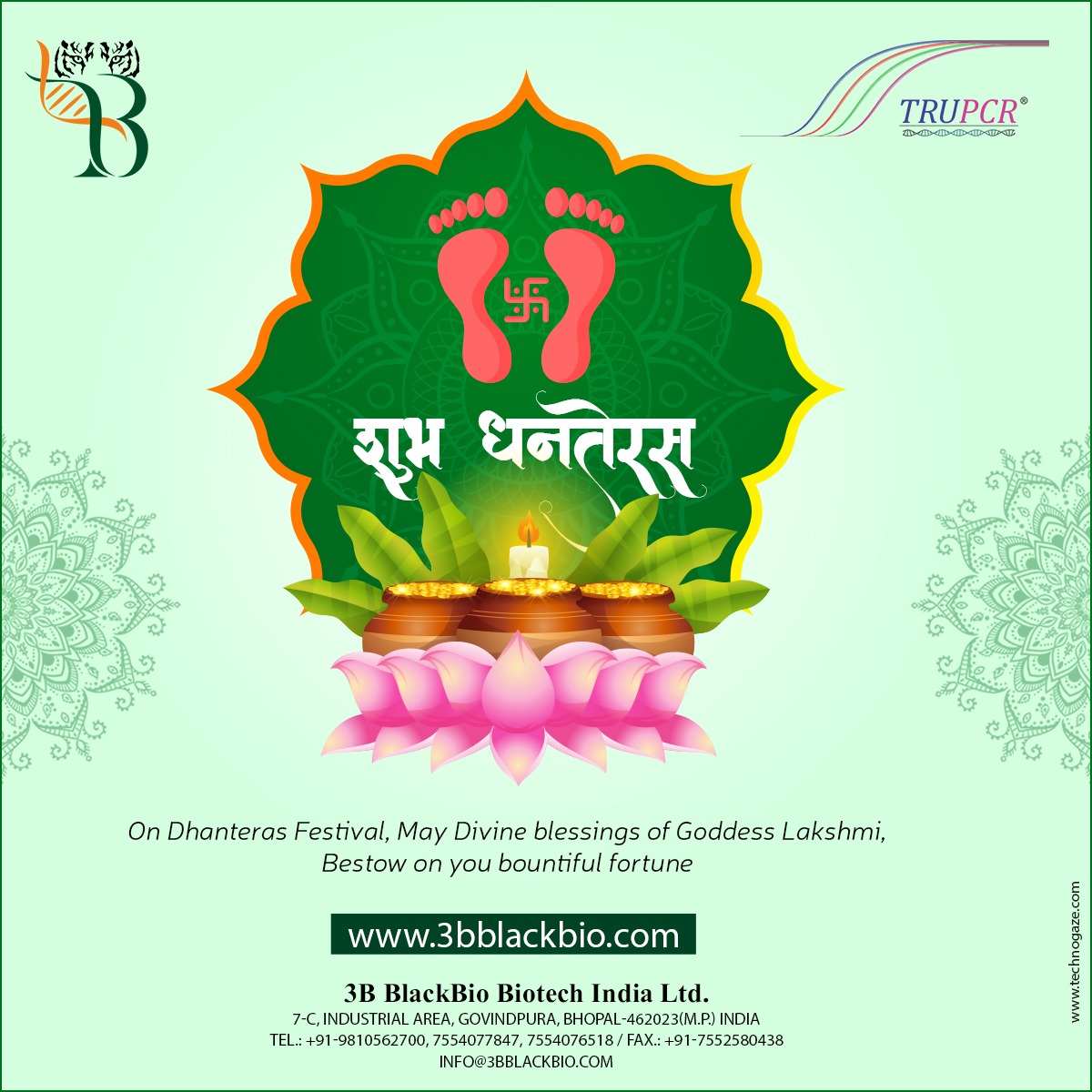 3B_BlackBio's tweet photo. We wish you a very Happy Dhanteras!
.
.
For Details
7554077847 / 7554076518
info@3bblackbio.com
https://t.co/bLVB62D21U
#dhanteras #3BBlackBio #Biotech #TRUPCR #COVID19 #medicalscience #Medical #Biology #safety #HPVKIT #Genotyping #pcrkit https://t.co/xYA3zWWzqe