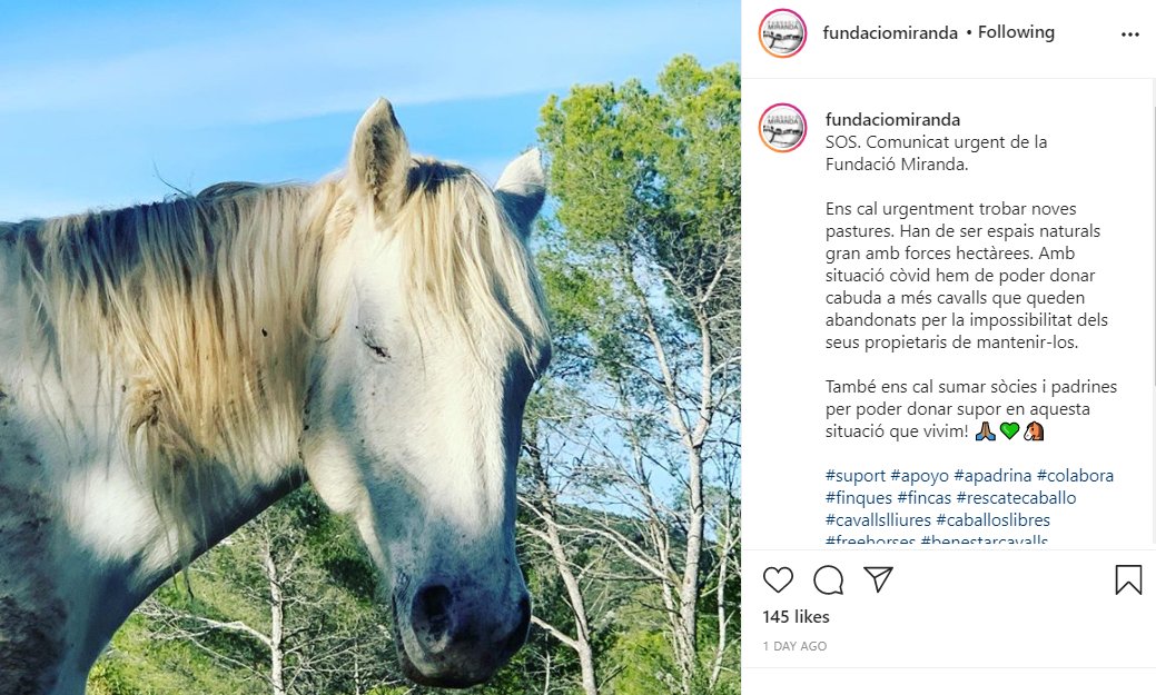 VolAmbiental's tweet photo. ❗Atenció🆘de @fundaciomiranda : "Cal urgentment trobar noves pastures, espais naturals grans de forces hectàrees. A causa Covid necessitem acollir més cavalls que han quedat abandonats. Busquem sòcies i padrines per poder donar suport a aquesta nova situació" #givingtuesdayCAT https://t.co/YEKaFf2xKM