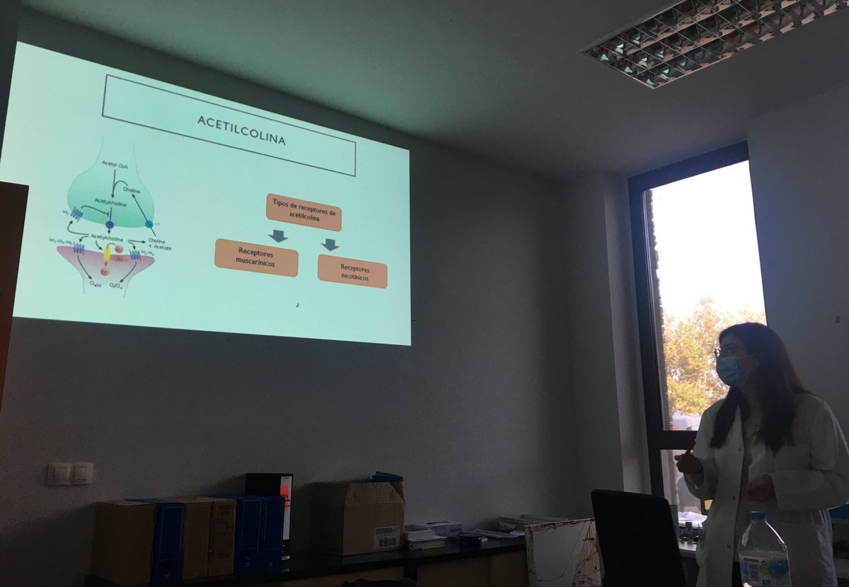 Nuestra estudiante Marta Peso nos habla hoy de carga anticolinergica y como optimizar el tratamiento farmacológico en pacientes polimedicados <a href="/albacetesanidad/">Albacete Sanidad</a> <a href="/FarmaciaAB_UCLM/">Farmacia-ALB-UCLM.bsky.social</a> <a href="/uclm_es/">Universidad de Castilla-La Mancha</a>