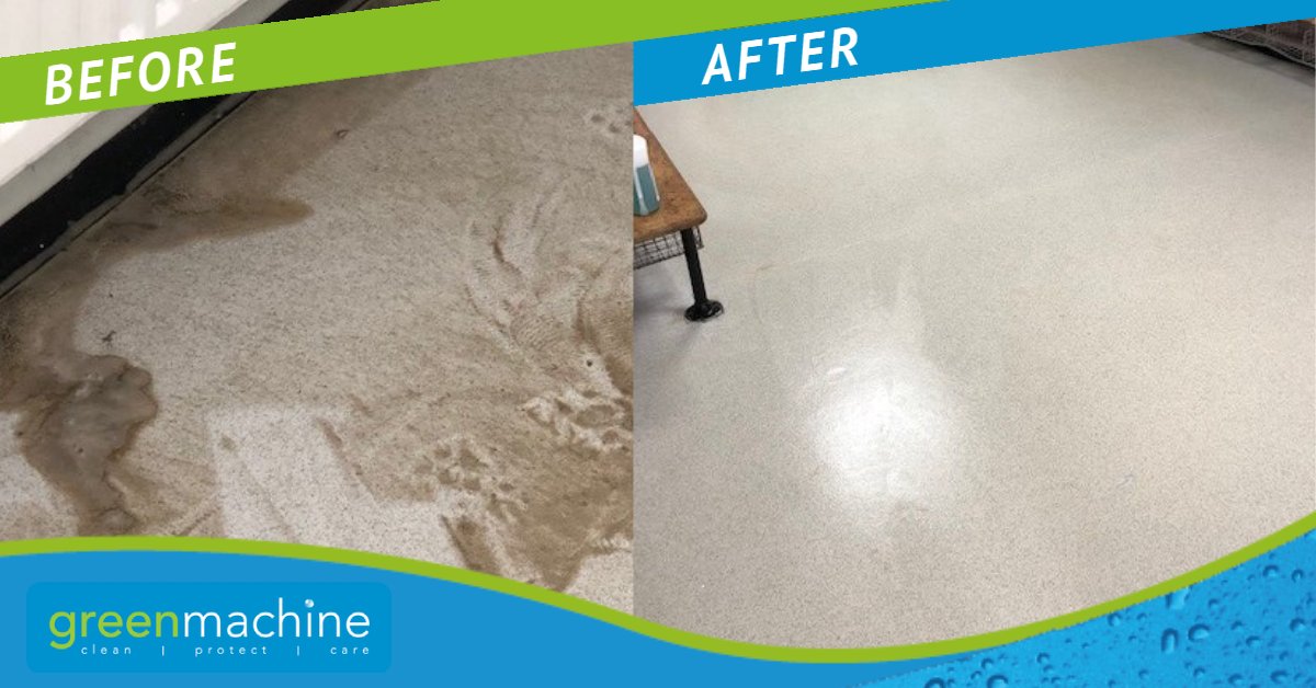 GreenMachineSW2's tweet photo. Over time dirt builds up on floors, and although it may look fairly #clean. Depending on the type of flooring, dirt, and bacteria can be hiding in your floor and will need to be professionally #deepcleaned
Contact us today for a quote.
https://t.co/Gms3LOScSE https://t.co/P2eW62xrTG