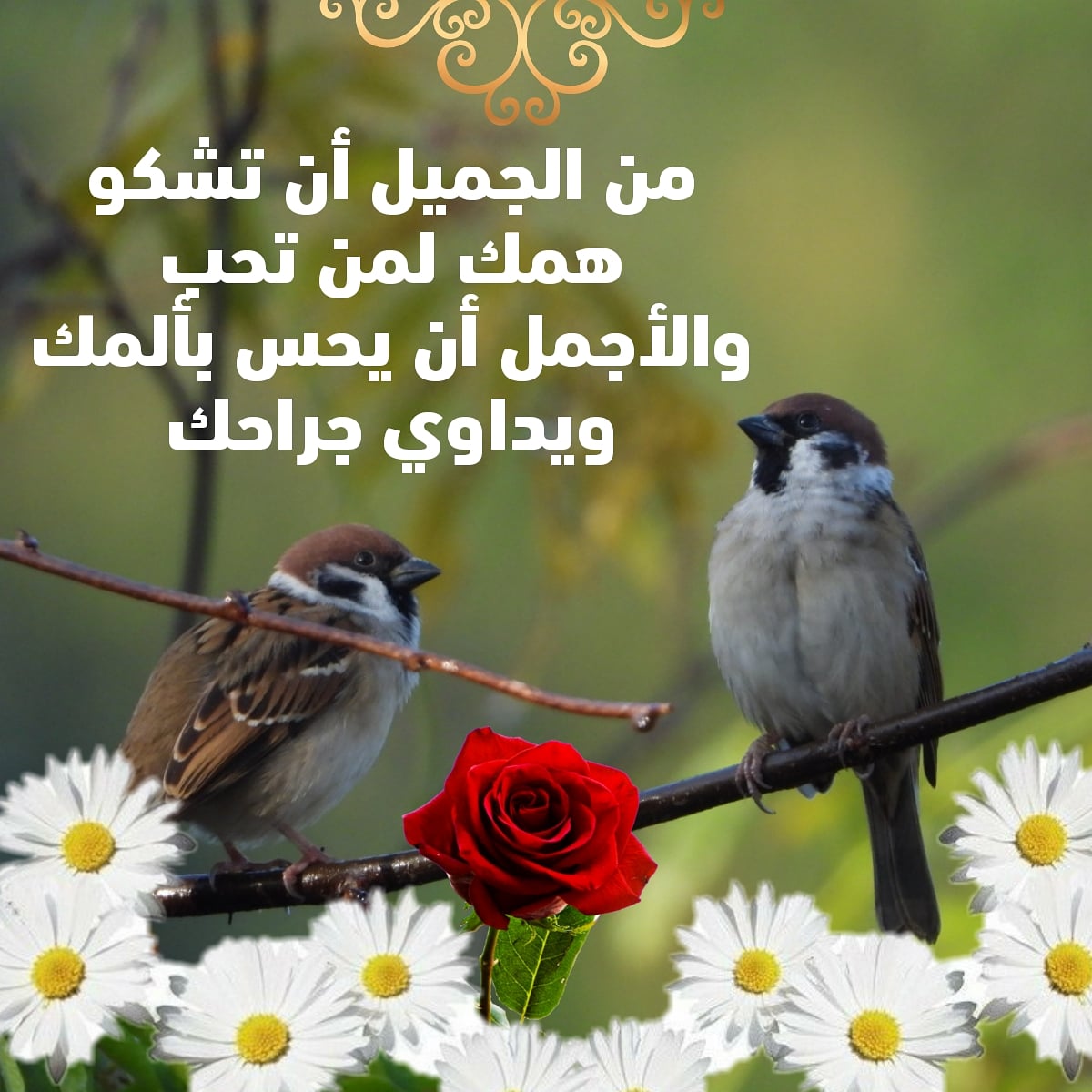 am272z's tweet photo. https://t.co/JSBMjJFHmk