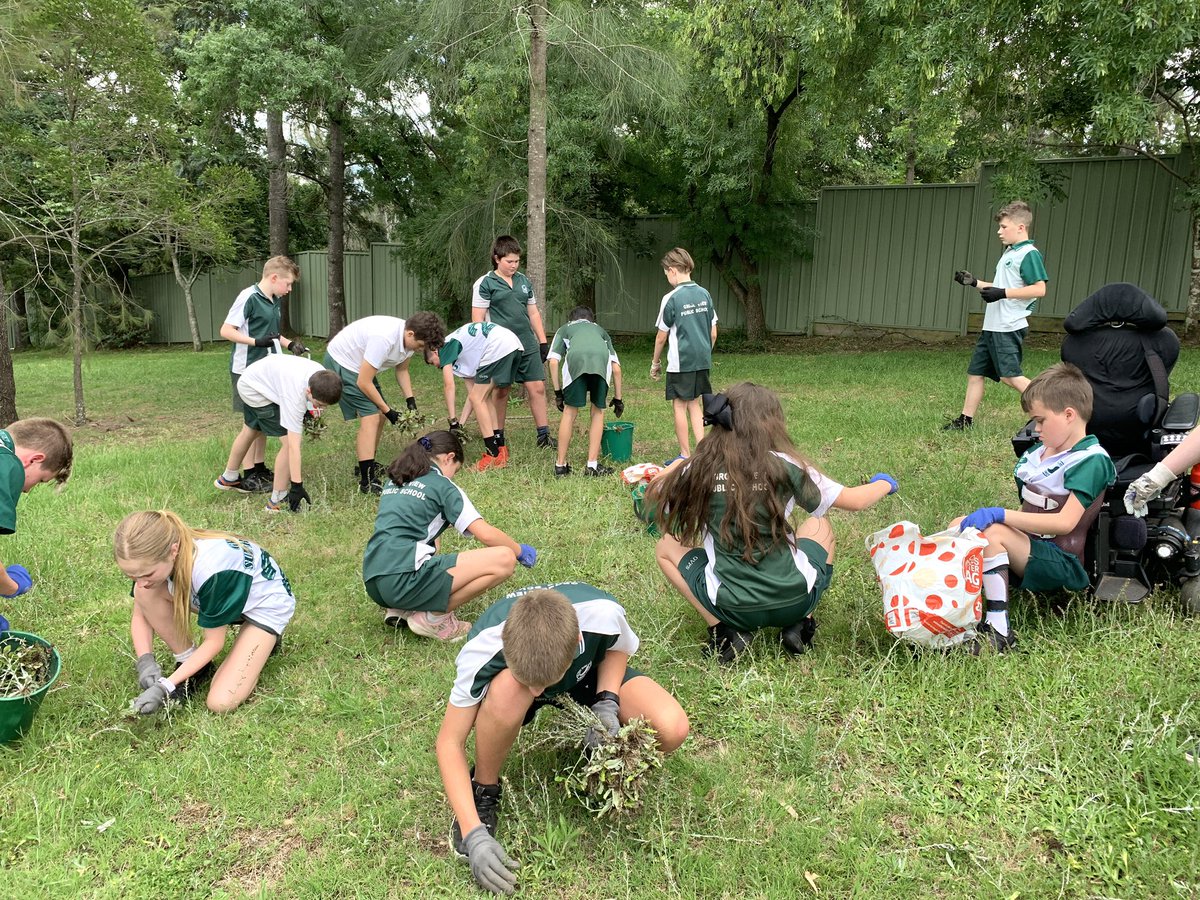 Grose View Public School tweet media