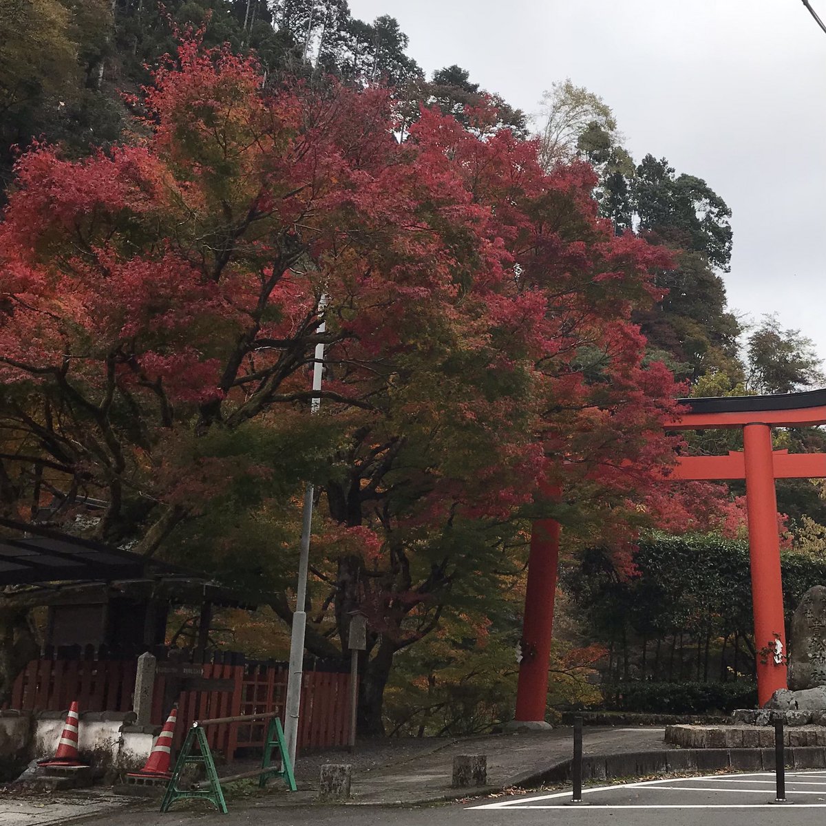 kibune_denbe's tweet photo. だんだん寒くなって来ましたね！
貴船も、とても良い感じで紅葉してきました🍁🍁🍁 https://t.co/Ra0Pc1sZwn