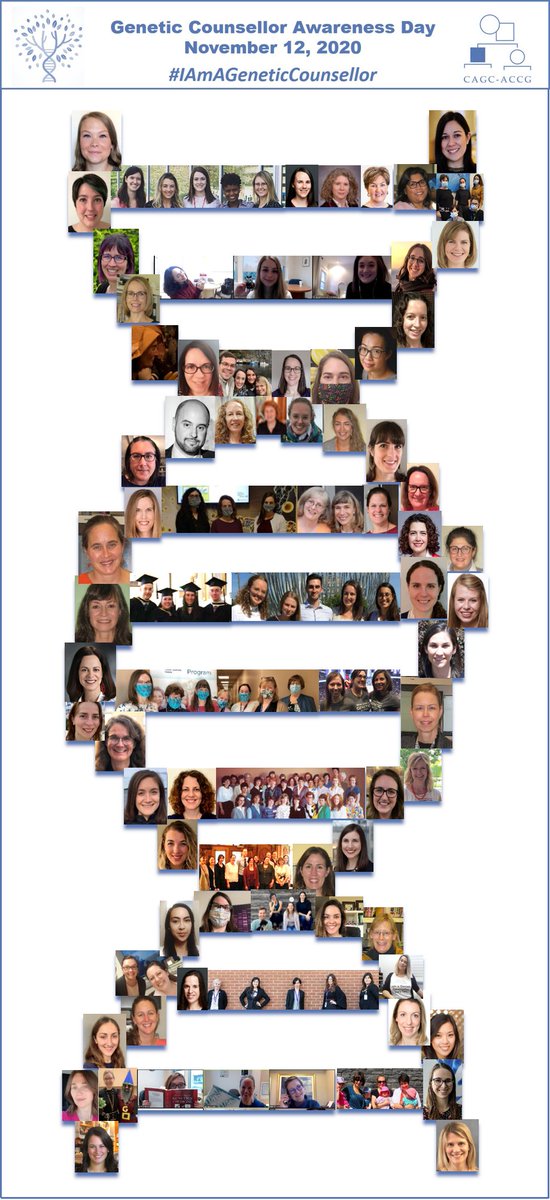 CAGC_ACCG's tweet photo. #IAmaGeneticCounsellor #JeSuisConseillereEnGenetique #IamAGeneticCounselor In recognition of the dedication and passion that our members exhibit on a daily basis in helping our patients and colleagues understand the genetic component of health. https://t.co/zAt1ZVXJ7Q