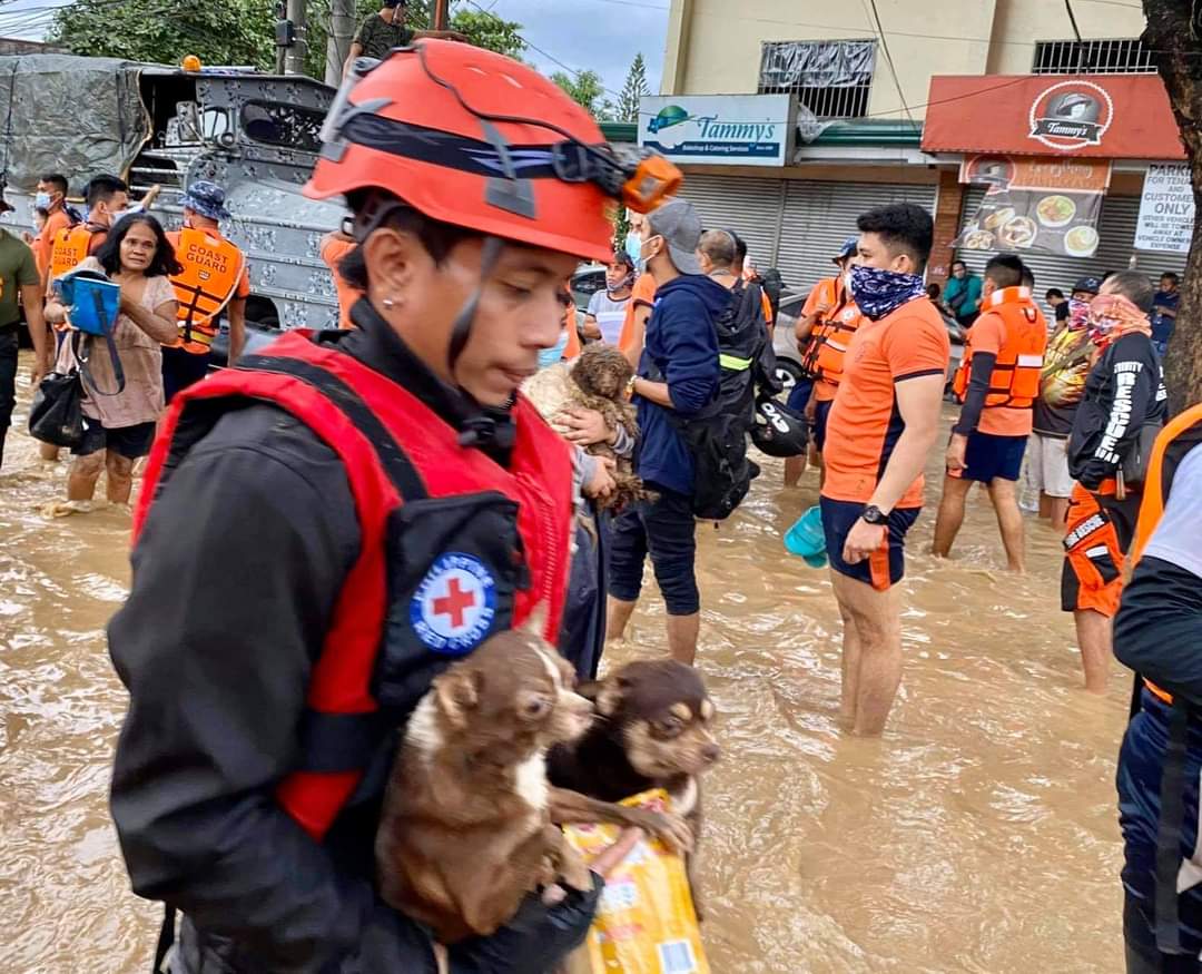 PhilippineStar's tweet photo. Members of the PAWS Disaster Team arrive at Provident Village in Marikina to rescue and provide assistance to pets and pet owners who are affected by Typhoon #UlyssesPH. (Photos/PAWS Philippines) https://t.co/XXxyVwKqsK