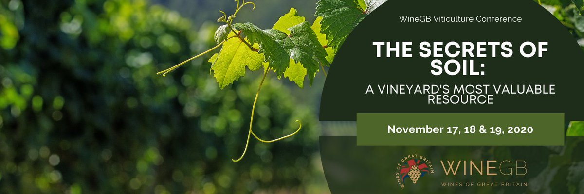 The Secrets of Soil: A vineyard's most valuable resource. A less understood, rather undervalued, but vitally important resource for successful yields and production of quality grapes!⁠⠀
⁠⠀
Join us online on November 17, 18 and 19, from 10 to 12:30! winegb.co.uk/join/conferenc…