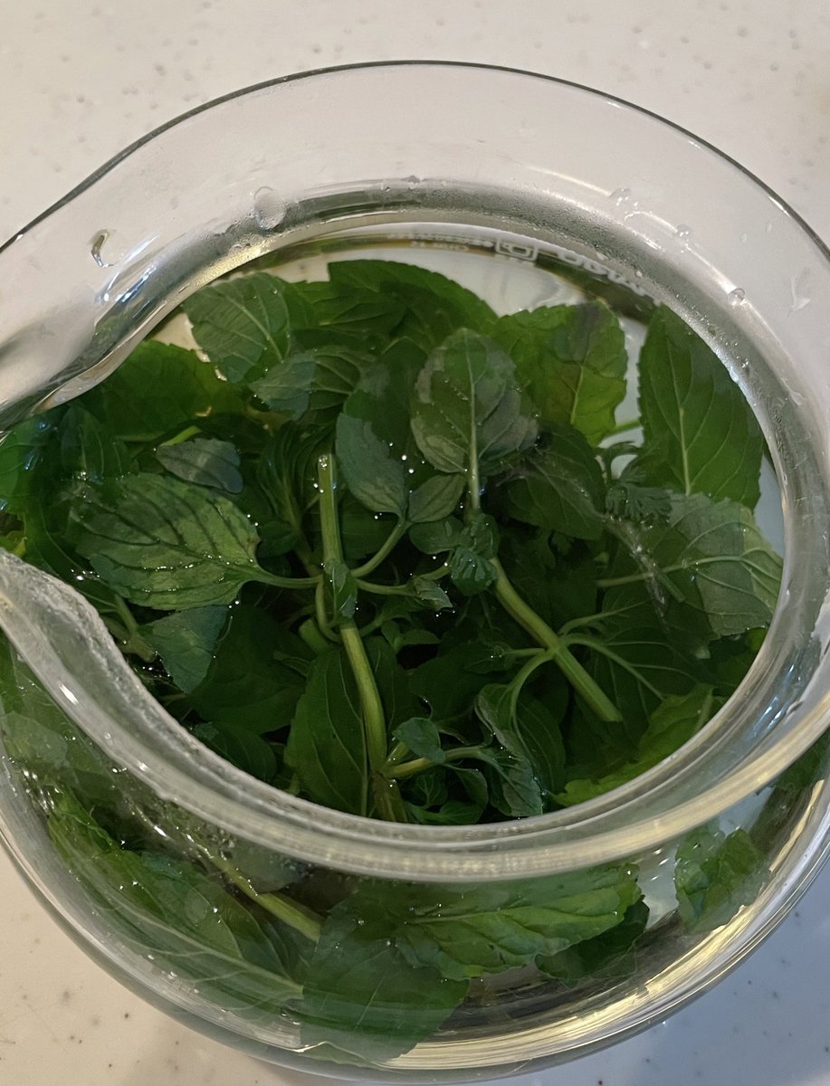 Heshteg ラベンダーミント V Tvittere