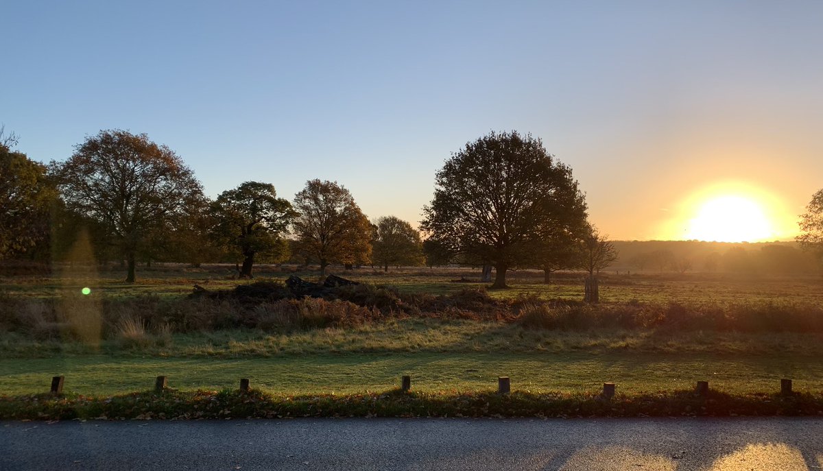 Richard Hopper tweet media