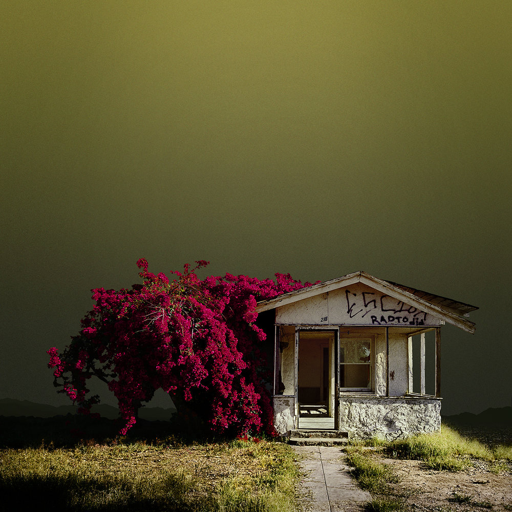 L3naRain's tweet photo. Φωτογραφία της ημέρας 2016 #EdFreeman ❤ https://t.co/gCntM8Ig0Y