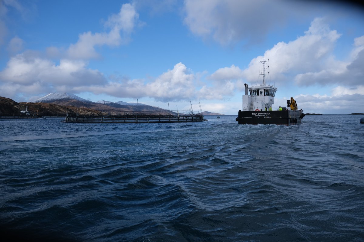 Salmon Scotland tweet media