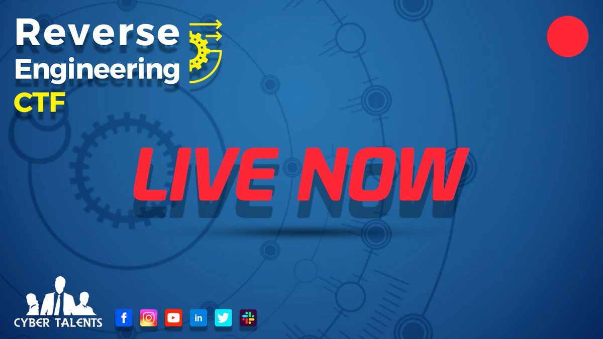 Ahmed Nosir Egycondor Twitter