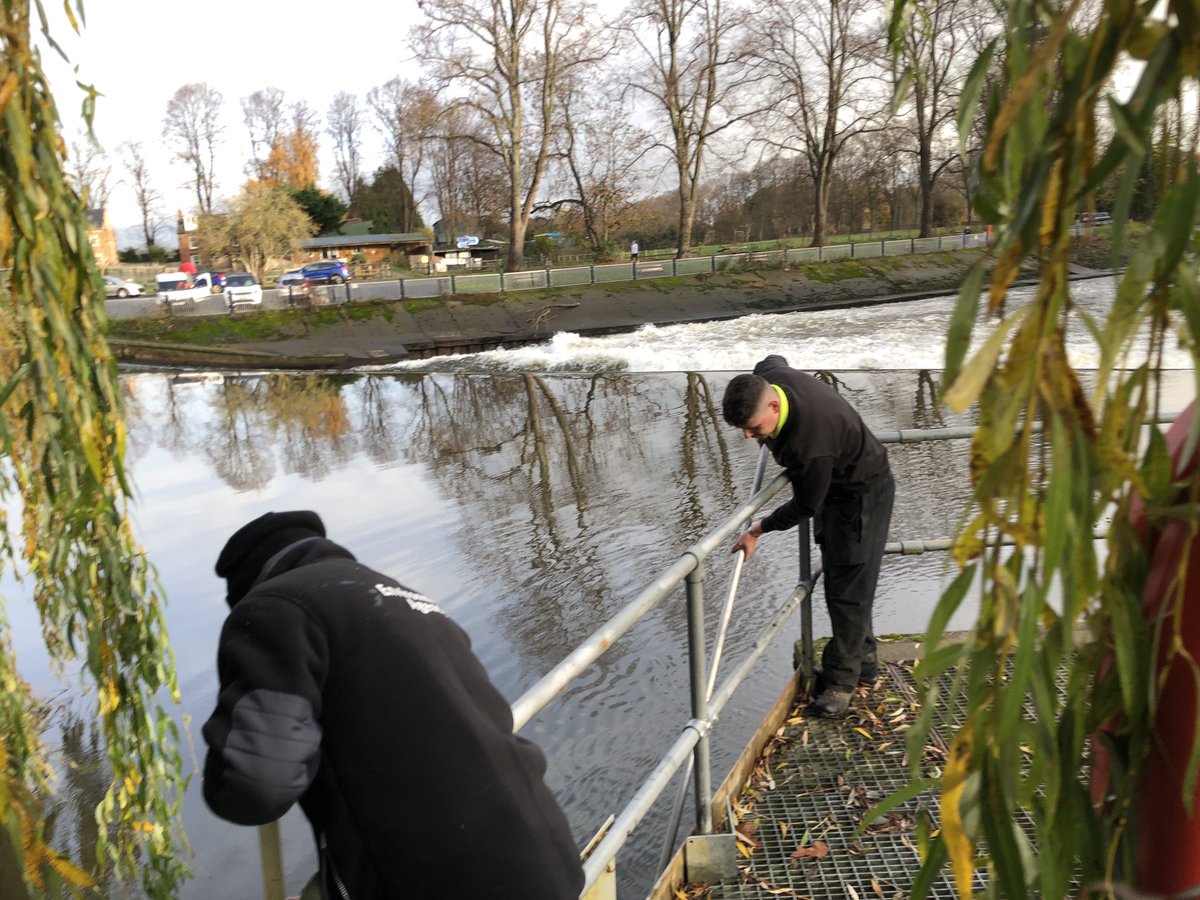ChrisBaingerEA's tweet photo. #OPsTeamEA are doing the rounds to make sure all our #fishpasses are clear of debris & flowing freely
Essential at this time to allow #salmon to reach their natal spawning grounds without delay.
If you see a blocked fishpass please report to 0800807060 our 24/7 incident hotline https://t.co/g68T2Brqli