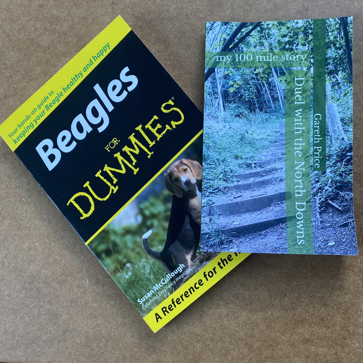 Beagles for dummies and Duel with the North Downs