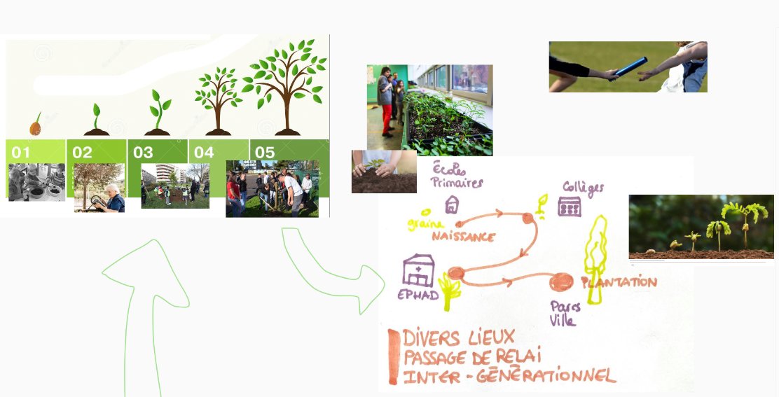 L'arboratoire tweet media