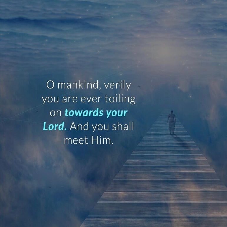 MajesticQuran's tweet photo. The toil is tiring and painful. But at the end of it, if you get to see the face of your Lord and attain His pleasure, it will all be worth it.
.
.
Follow
.
.
.
.
.
.
.
.
.
.
.
.
.
.
.
.
.
.
.
.
.
.
.
.
.
.
.
.
#islamicquotesandpictures #reminders #islamicquote #islamicknowled https://t.co/dRmQl76UIH