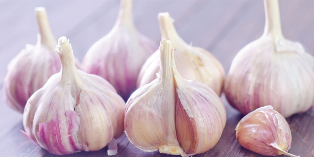 OpenUpMags's tweet image. Hard neck or soft neck? It’s garlic growing time! Katherine Watson of @FatGrassDesign has tips ow.ly/vuiD30rhyRe