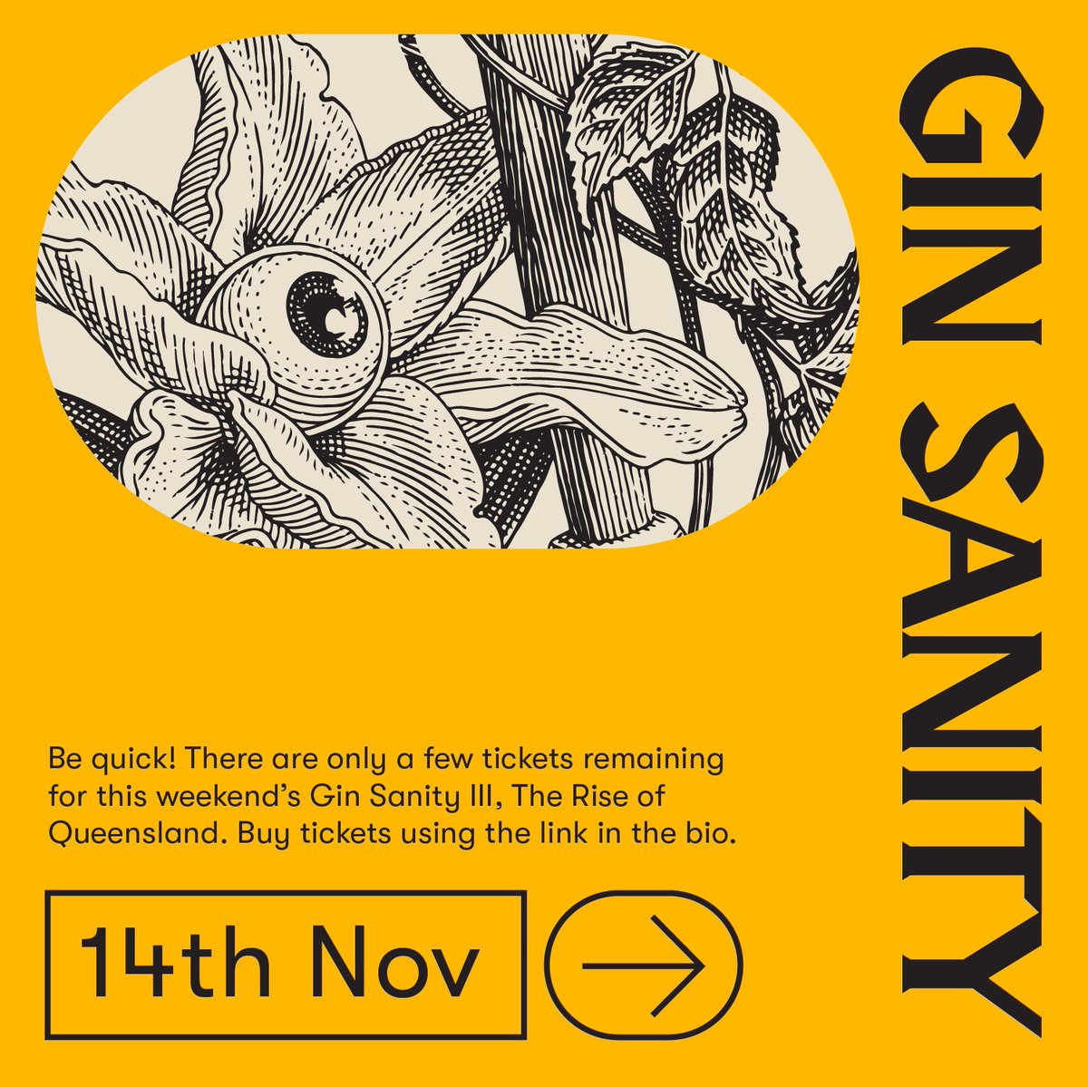 DivinersGin's tweet image. Be quick! There are only a few tickets remaining for this year's #GinSanity III, the Rise of Queensland this weekend. Both our Gins will be on show amongst some of Queensland's newest gin distilleries.

#Ginsanity #gintasting #gindistillery #riseofqueensland #Queensland