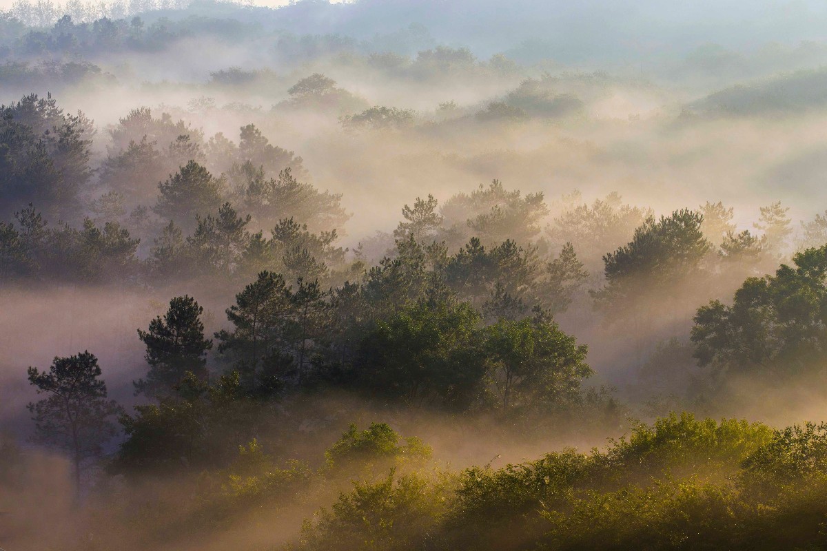 GoJiangsu's tweet photo. With beautiful autumn colors and a light fog hanging low, Xuyi Tianquan Lake in #Huai’an, #Jiangsu province looks truly stunning at this time of year. Pay a visit for an immersive autumn experience! #TravelInJS https://t.co/cdiGXaAtSm