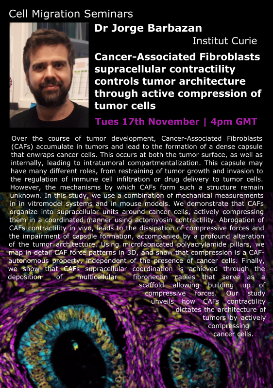CellMigration's tweet photo. 📢 Seminar Info

Tune in next week to hear from Jorge Barbazan (@JorgeBarbazan) and Minna Roh-Johnson (@roh_johnson_lab)! https://t.co/sdeckFymUX