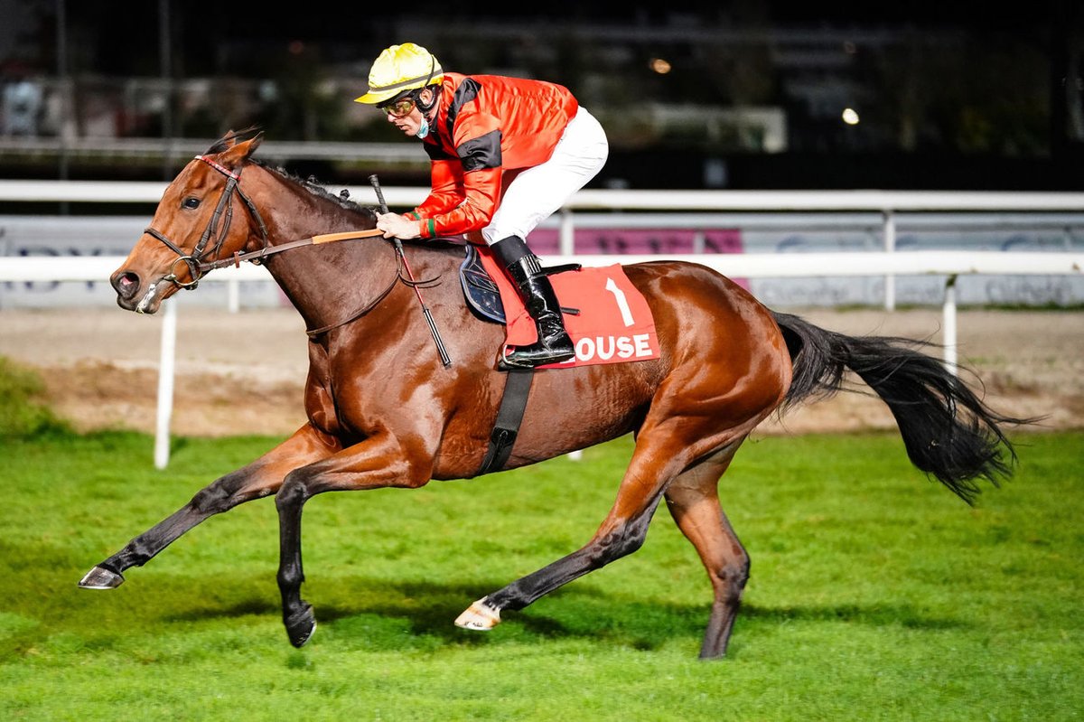MarineVVL's tweet photo. ✨#Genmoss part désormais au Haras du Bosquet, chez Véronique Laborde & Bruno Thierry, où elle a vu le jour.
Elle sera présentée à #DoctorDino. Parmi ses meilleurs produits :
▪️Golden Legend (Coupe de ML)
▪️Master Dino (Cambacérès, Renaud du vivier)
▪️Docteur de Ballon (GSCP 20) https://t.co/gSNQyw0hvp
