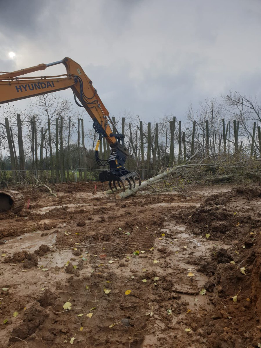 Mvd grapple saw in action yesterday for sequoia tree care. Decent size pops over hanging neighbouring properties. All stacked in length waiting for the chipper.<a href="/Excav8/">Exc@v8 Engineering</a>