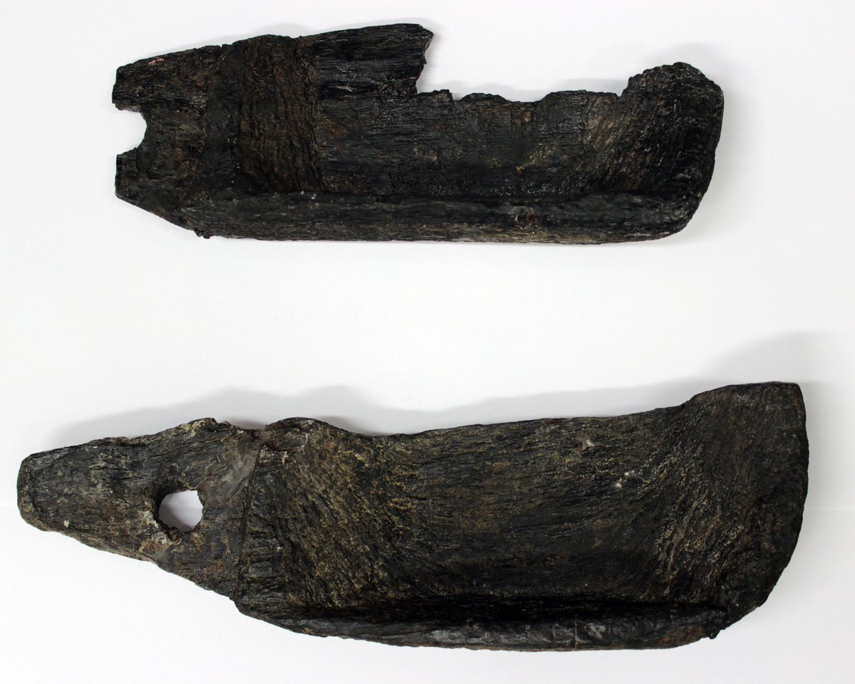6/15 These  @museuminthepark objects have previously been described as ‘very dull lumps of old wood’–but excavated in the 1960s near Nailsworth, Gloucester, these late Saxon / Early Norman horizontal water mill paddles are an amazing survival, and really not that dull.  #SMACon2020