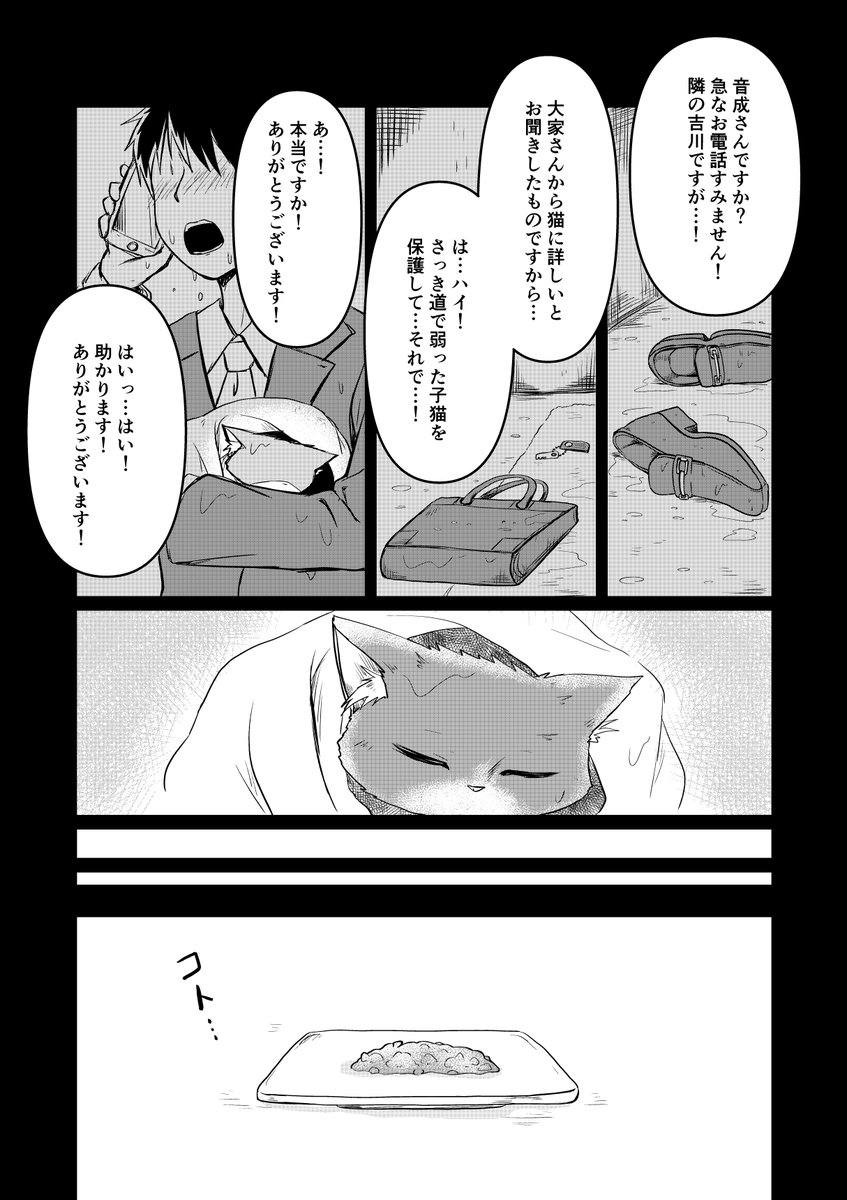 【愛猫が幽霊になったらめっちゃしゃべるし口が悪い】
第11話

#創作漫画
#漫画が読めるハッシュタグ 