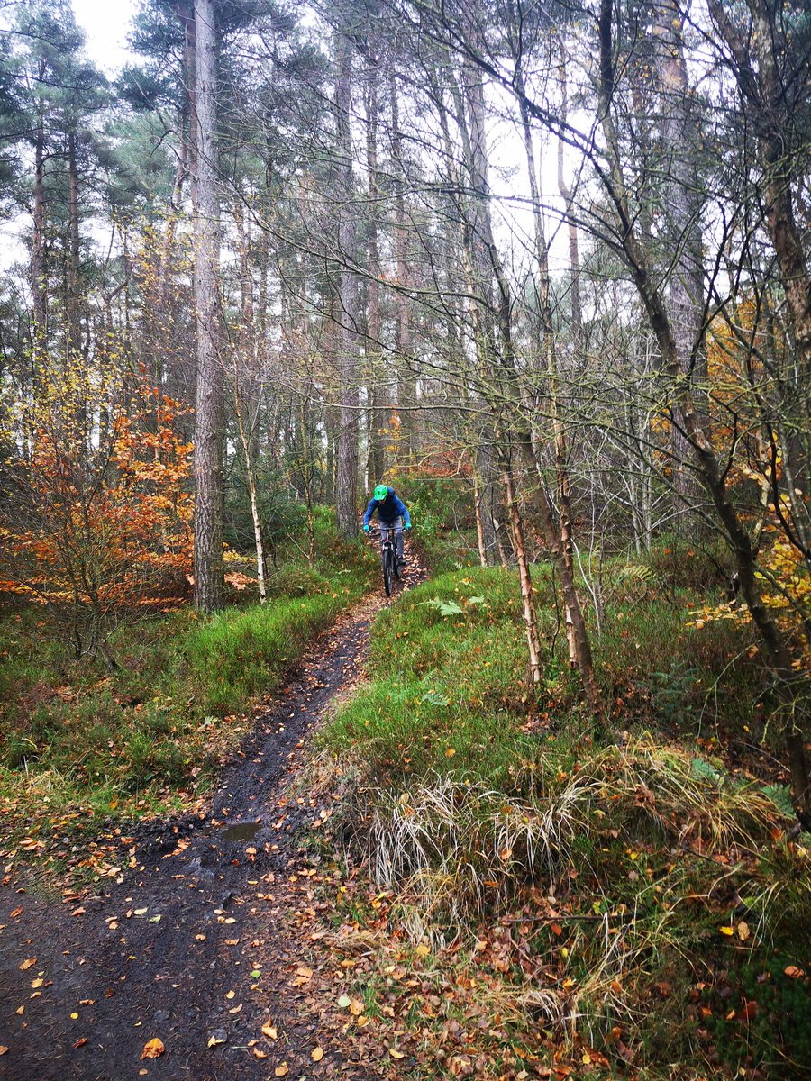 stmungoshs's tweet photo. The Outdoor Group worked well yesterday on the Callander Estate trails for the 2nd week of their Go MTB Awards. Working on basic riding skills, control and braking. They enjoyed a shot at the skills park and a variety of trails and the 22km journey! #GoMTB #ridingskills #cycling https://t.co/v66dDahpeD