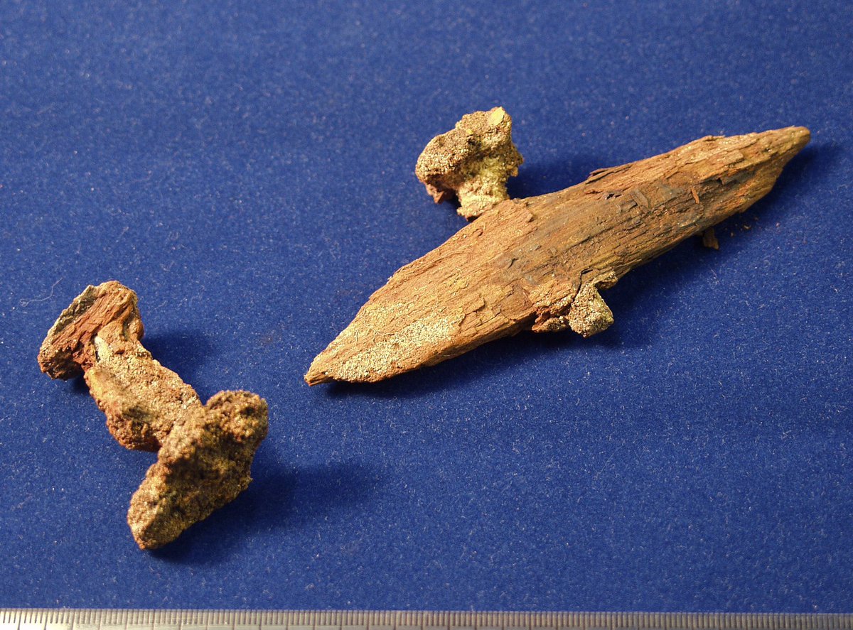 7/15 These handmade rivets  @OrkneyMuseums are from a set of 310 excavated from a Viking faering, a type of boat, used for a 3 person burial from Scar, Sanday c875–950AD. A real rescue excavation - the link shows a wave breaking over the site!  #SMACon2020  https://canmore.org.uk/site/3494/sanday-quoy-banks