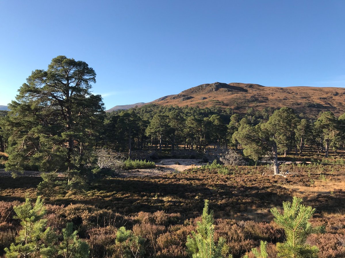 Dr. Tom Ovenden tweet media