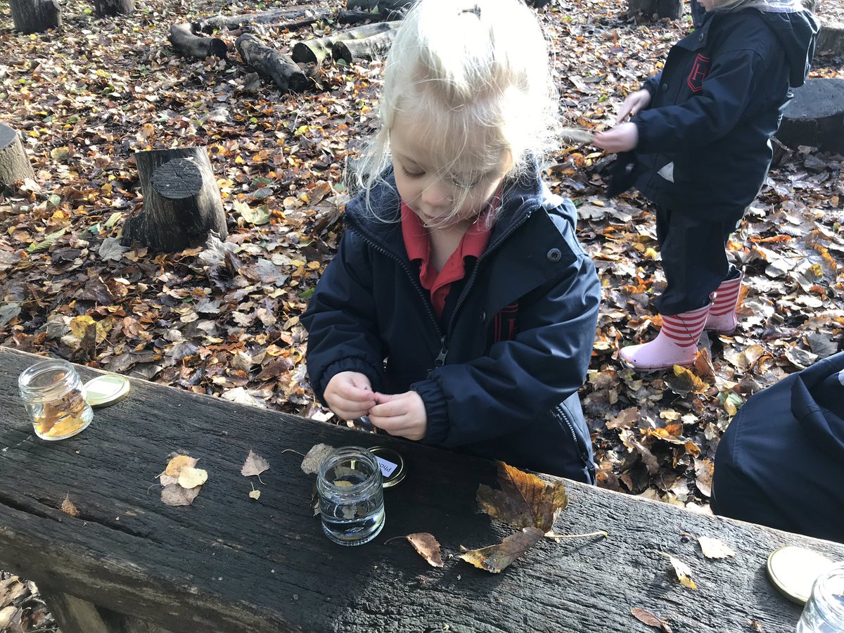 HawthornsEY's tweet photo. For our Autumn Discovery week we decided to make magic potions in the woods! I wonder what magic they will make happen with their new creations? @HawthornsSchool https://t.co/CfkWlomFdq