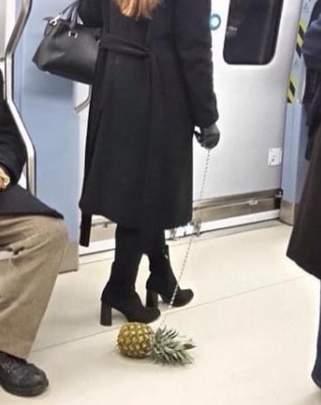 millet iyice üşüttü yemin ederim. kesin fetöcü 😬