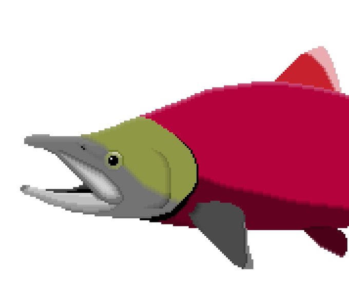 サケの日のtwitterイラスト検索結果 サケの日のtwitterイラスト検索結果