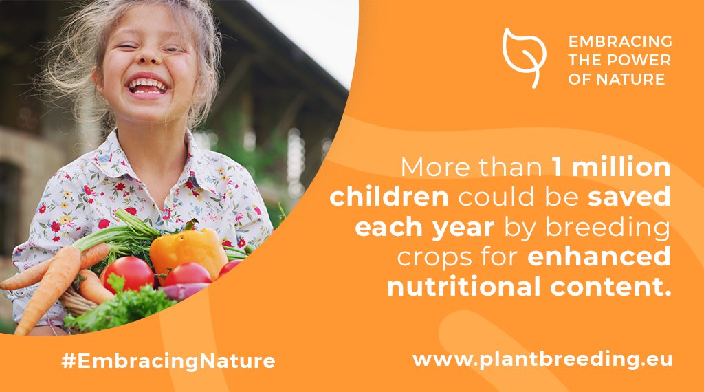 Euroseeds tweet media