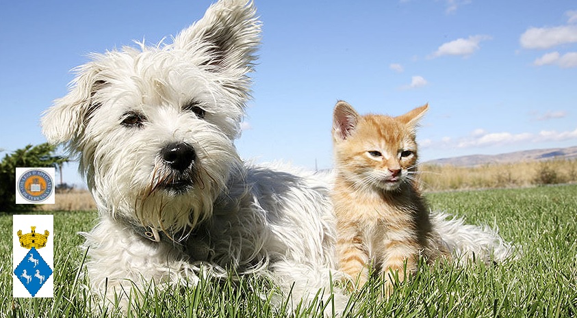 La Comissió de Dret Animal de l’<a href="/ICATERadvocats/">Advocats Terrassa</a> signa conveni de col·laboració amb l’@AjViladecavalls per fomentar la sensibilització en el tema del benestar i protecció dels animals amb l’objectiu d’aconseguir millores a nivell municipal ➡️icater.org/?p=11414