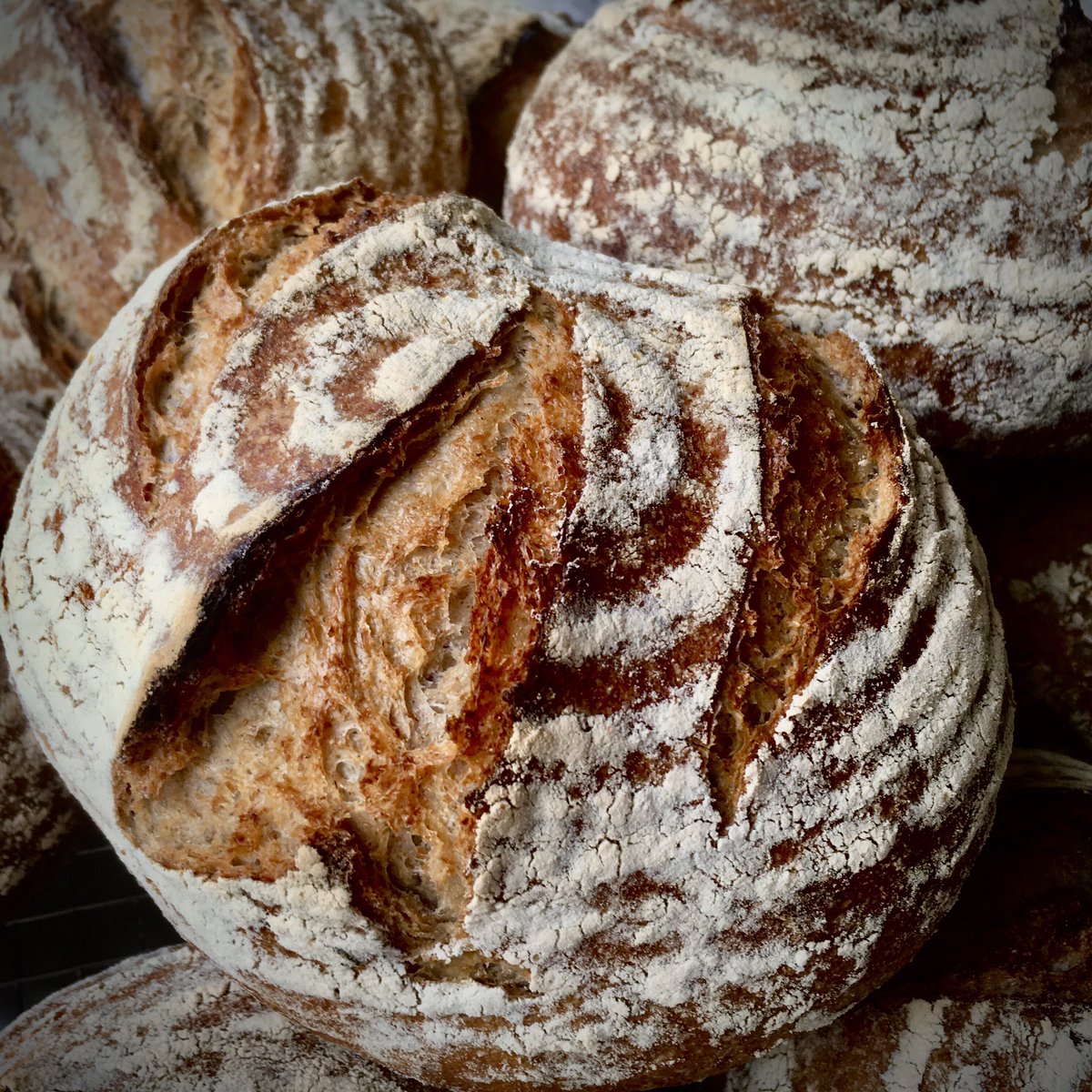 LaBonneParis1's tweet photo. Pain Levain de Seigle - Wholemeal Rye & Caraway Sourdough - looking (and smelling!) fantastic this morning. Heading down @PiesseRosie #funkyfrankwell very soon. Take a look at my blog for more insight into this nutritious and flavour-packed grain. Enjoy!
https://t.co/mCQwaR5ykJ https://t.co/eY1i89ktbi