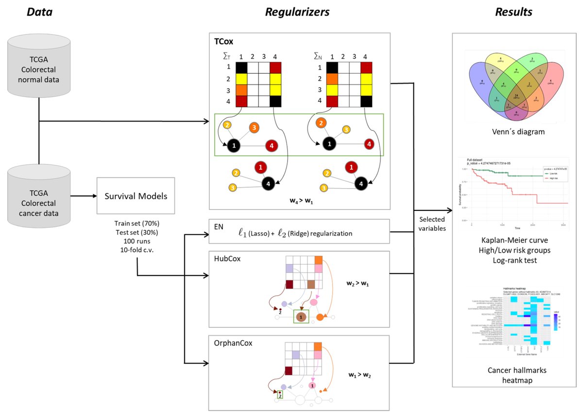 Biomed_MDPI's tweet photo. #TCox: Correlation-Based Regularization Applied to #Colorectal_Cancer Survival Data https://t.co/VoD6f94TH3 https://t.co/3tj5ljHkv2
