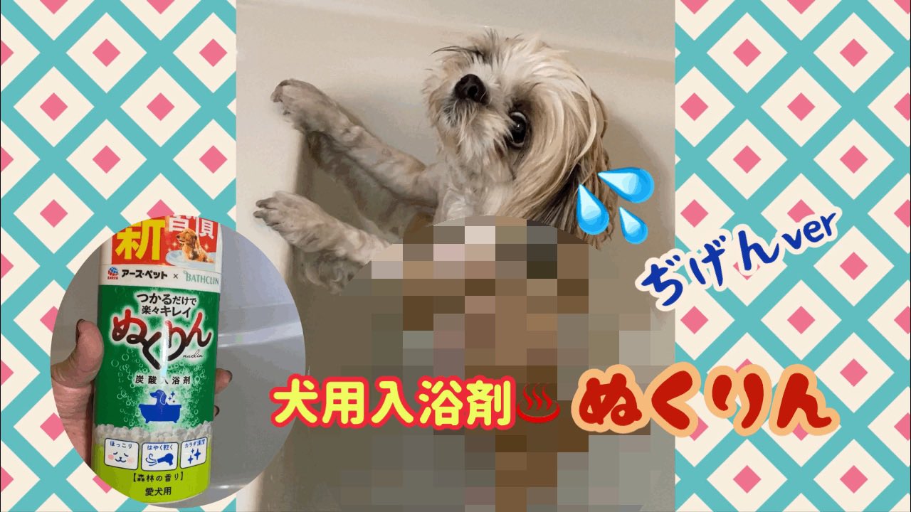 犬用入浴剤 Twitter Search Twitter