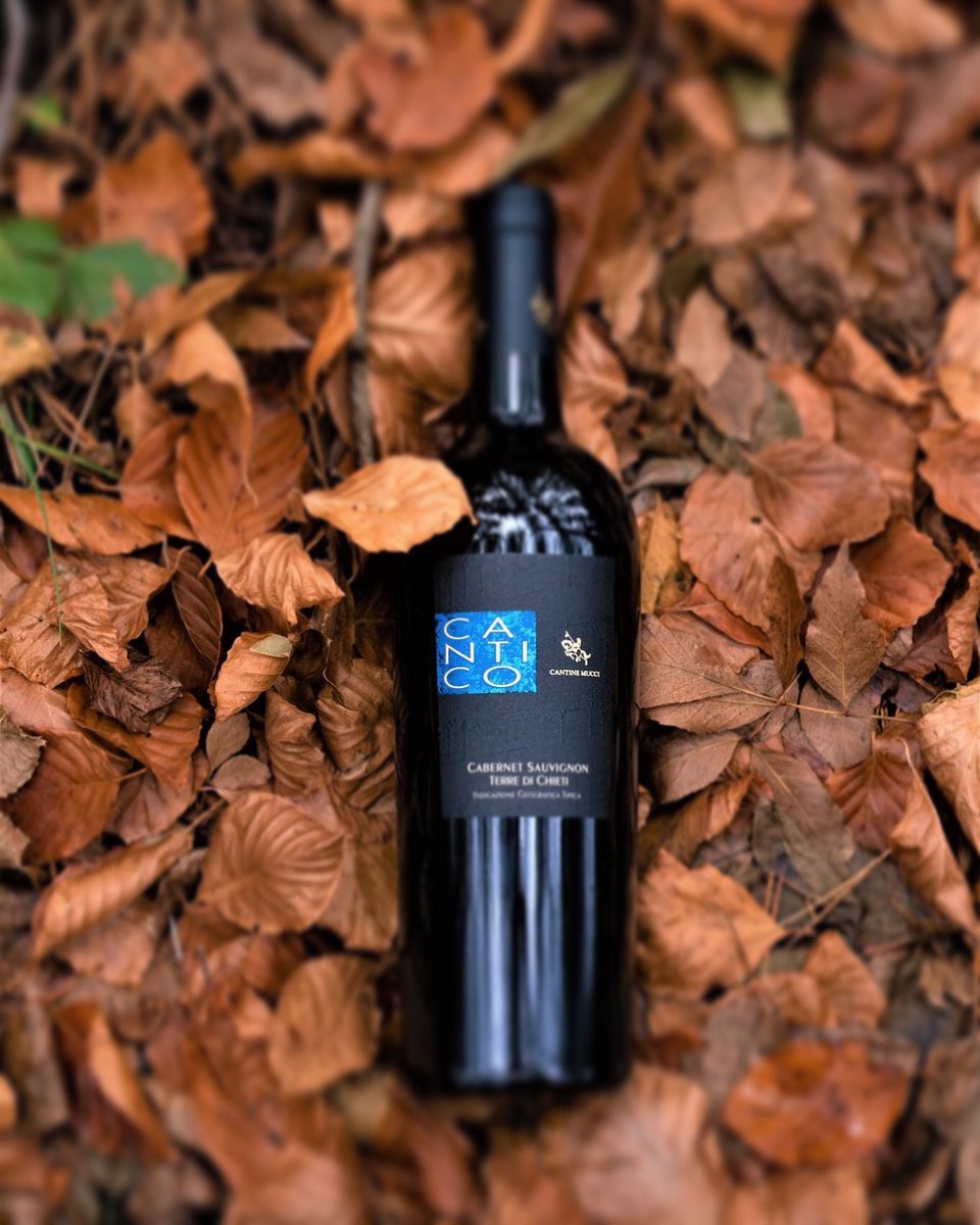 CantineMucci's tweet photo. In addition to native vine varieties, we also grow two international grape varieties: #Merlot and #CabernetSauvignon. This wine is made by the latter 
𝑪𝑨𝑵𝑻𝑰𝑪𝑶 𝑪𝑨𝑩𝑬𝑹𝑵𝑬𝑻 𝑺𝑨𝑼𝑽𝑰𝑮𝑵𝑶𝑵 𝑻𝒆𝒓𝒓𝒆 𝒅𝒊 𝑪𝒉𝒊𝒆𝒕𝒊 𝑰𝑮𝑻
#cantinemucci #familywinery https://t.co/Oi1WEHbKtW