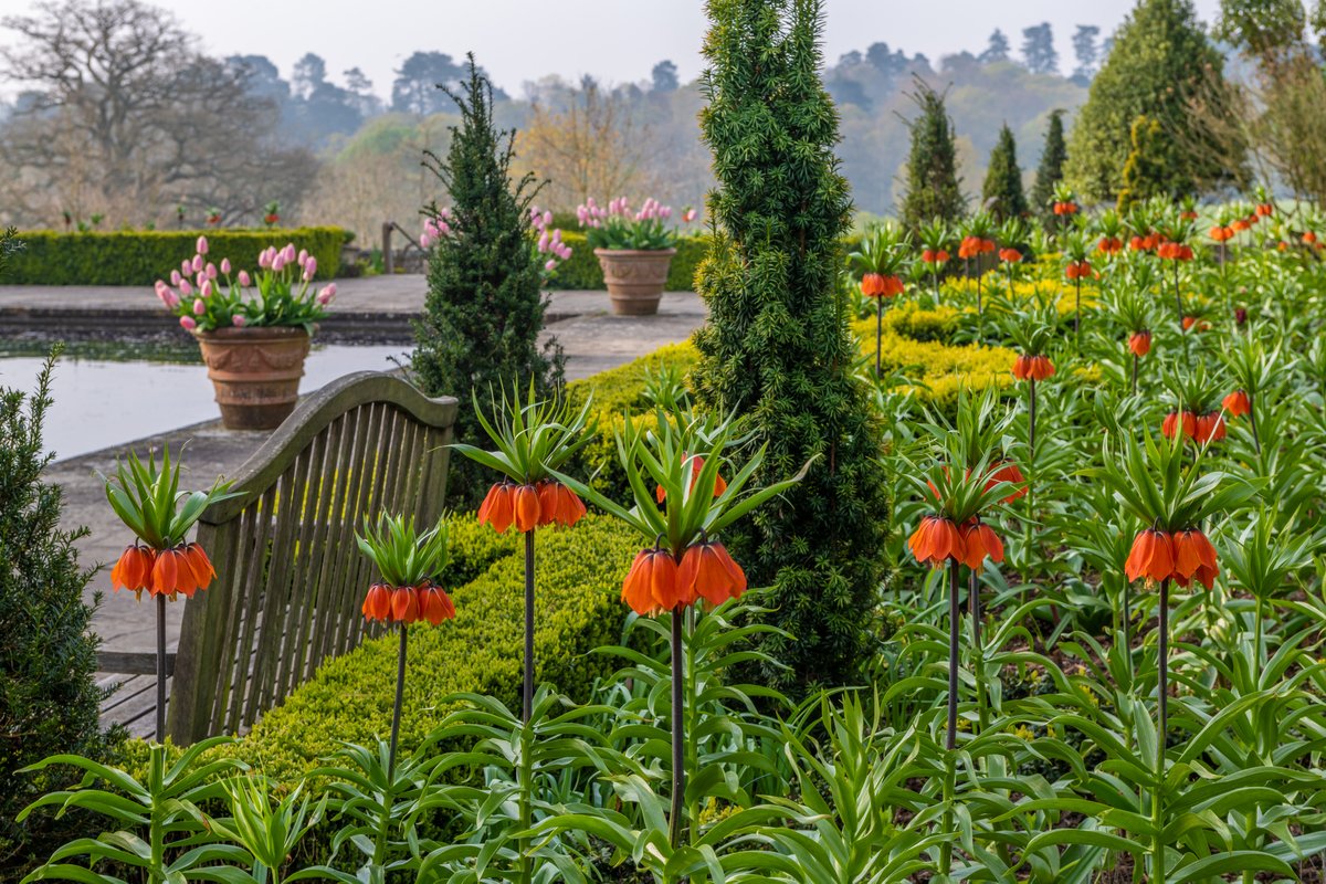 Destination UK Mag tweet media