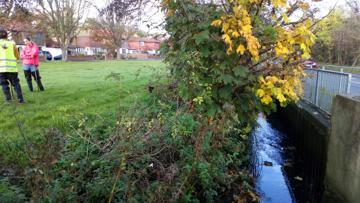 RavensbourneCIG's tweet photo. Excellent walk & wade with @QWAG @EnvAgencySE @EnviroLewisham @Thames21 exploring potential for river & flood risk improvements along the #QuaggyLinks route where @LBofBromley @Royal_Greenwich & @LewishamCouncil adjoin this #bluegreen #rivercorridor #safelydistanced https://t.co/rSnZhZgC8w