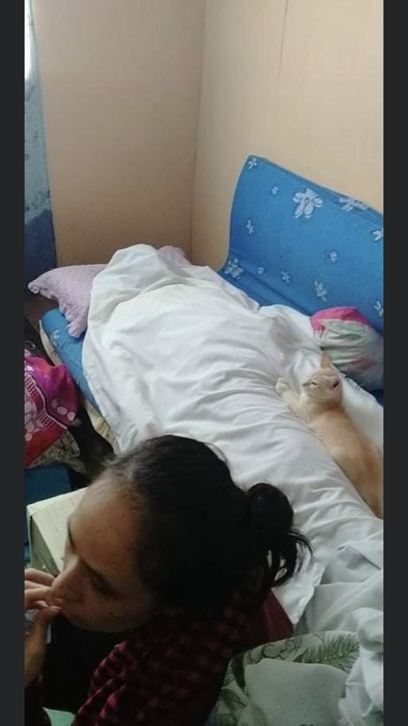 JAHDORED's tweet photo. 1 silver st. minahan interior, malanday, marikina.

contact #: 09457594689

#RescuePH #UlyssesPH https://t.co/YABXXsHCBA