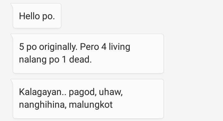 1 silver st. minahan interior, malanday, marikina.

contact #: 09457594689

#RescuePH #UlyssesPH