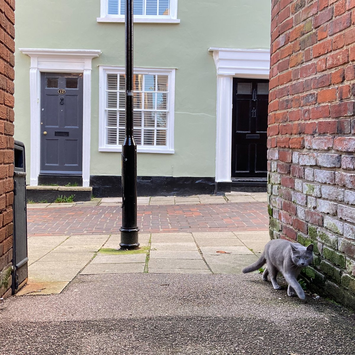 D is for  #DutchQuarter. If you want to stay close to the town centre whilst you grab some exercise you can't go wrong with exploring the Dutch Quarter. There's thousands of years of history to discover, and occasional friendly feline residents too.  https://www.visitcolchester.com/things-to-do/dutch-quarter-p1189981