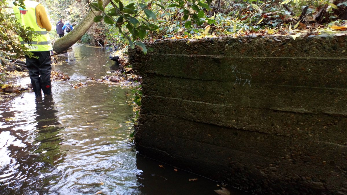 RavensbourneCIG's tweet photo. Excellent walk & wade with @QWAG @EnvAgencySE @EnviroLewisham @Thames21 exploring potential for river & flood risk improvements along the #QuaggyLinks route where @LBofBromley @Royal_Greenwich & @LewishamCouncil adjoin this #bluegreen #rivercorridor #safelydistanced https://t.co/rSnZhZgC8w