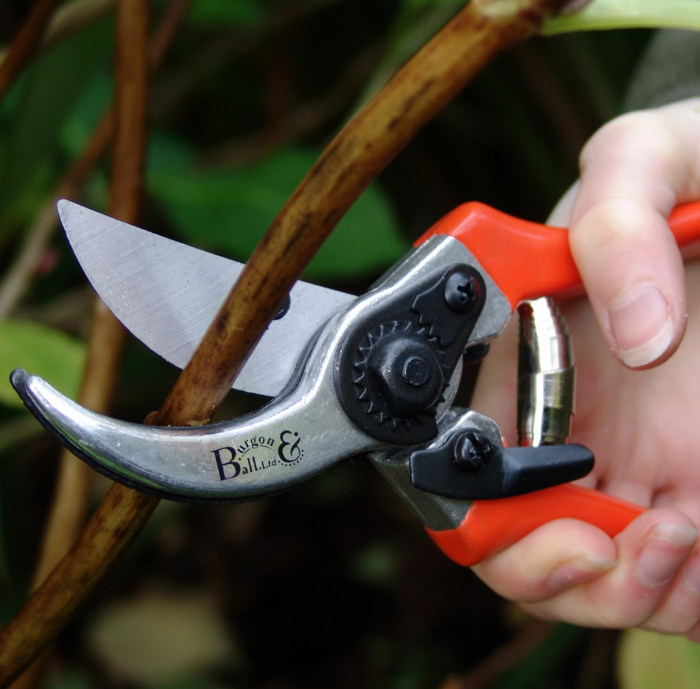 NutleysKG's tweet image. Looking for new #Secateurs? 

It's brilliant to see one of our suppliers @burgonandball  have their #LeftHanded pruners listed in @GWmag's Best Buy Top Ten for this indispensable garden tool. 

Find out what makes this tool special👉 ow.ly/ThLv50Cit9A